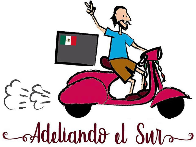 Libro Adeliando el Sur- Lalo Michel