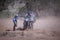 Cursos Off Road Intermedio 2022